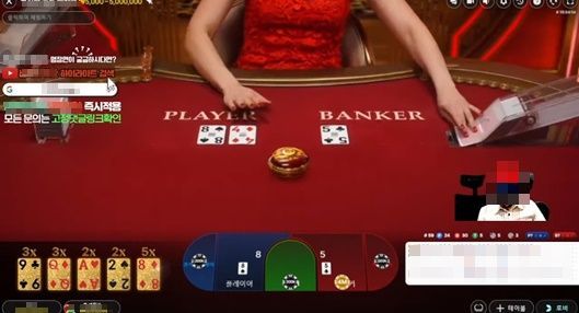 한국 딜러와 함께하는 궁극의 바카라사이트 TOP 12